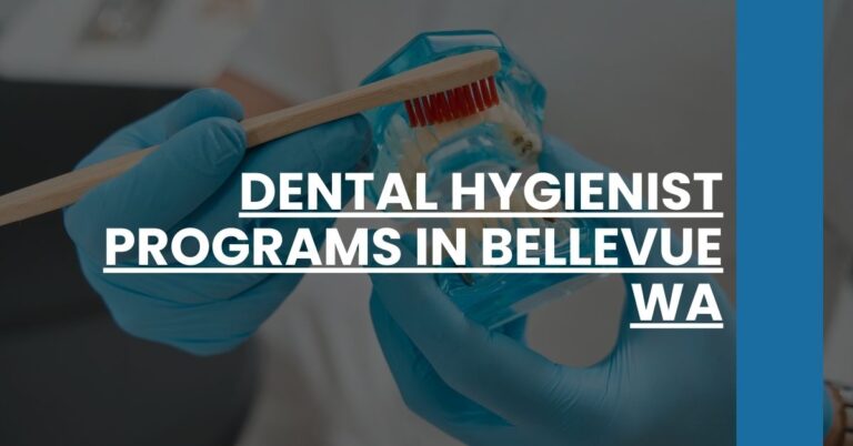 Dental Hygienist Programs in Bellevue WA Feature Image