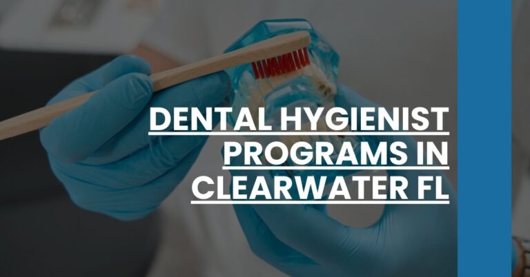 Dental Hygienist Programs in Clearwater FL Feature Image