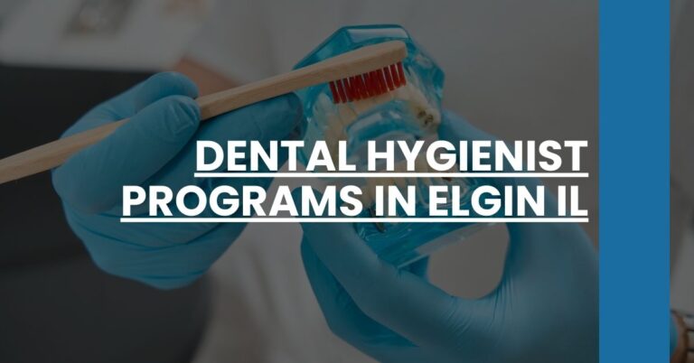 Dental Hygienist Programs in Elgin IL Feature Image