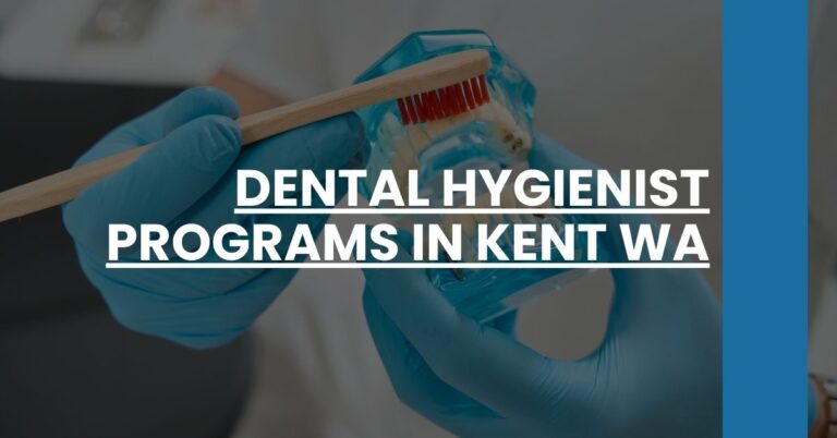 Dental Hygienist Programs in Kent WA Feature Image