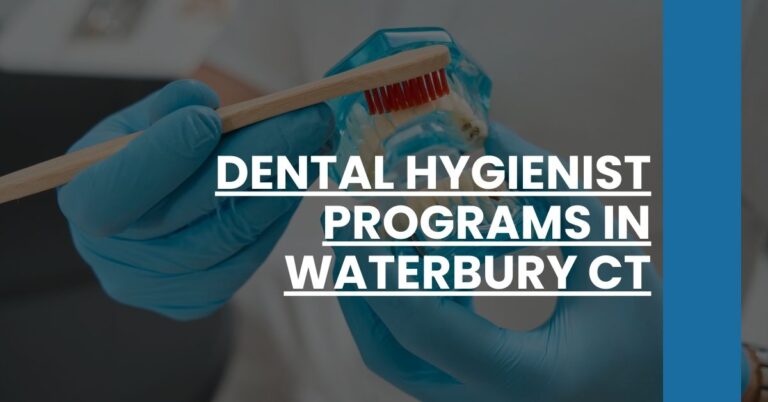 Dental Hygienist Programs in Waterbury CT Feature Image