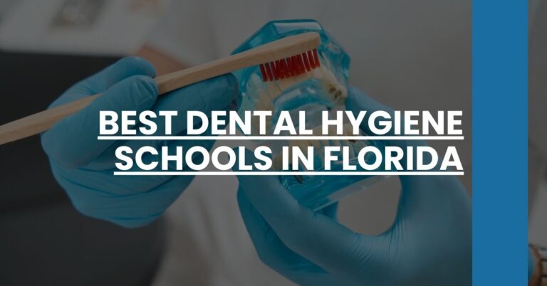 Best Dental Hygiene Schools In Florida Feature Image