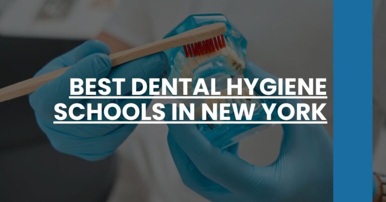 Best Dental Hygiene Schools In New York Feature Image